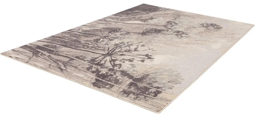 Tappeto in lana grigio crema 200x300 cm Lissey - Agnella