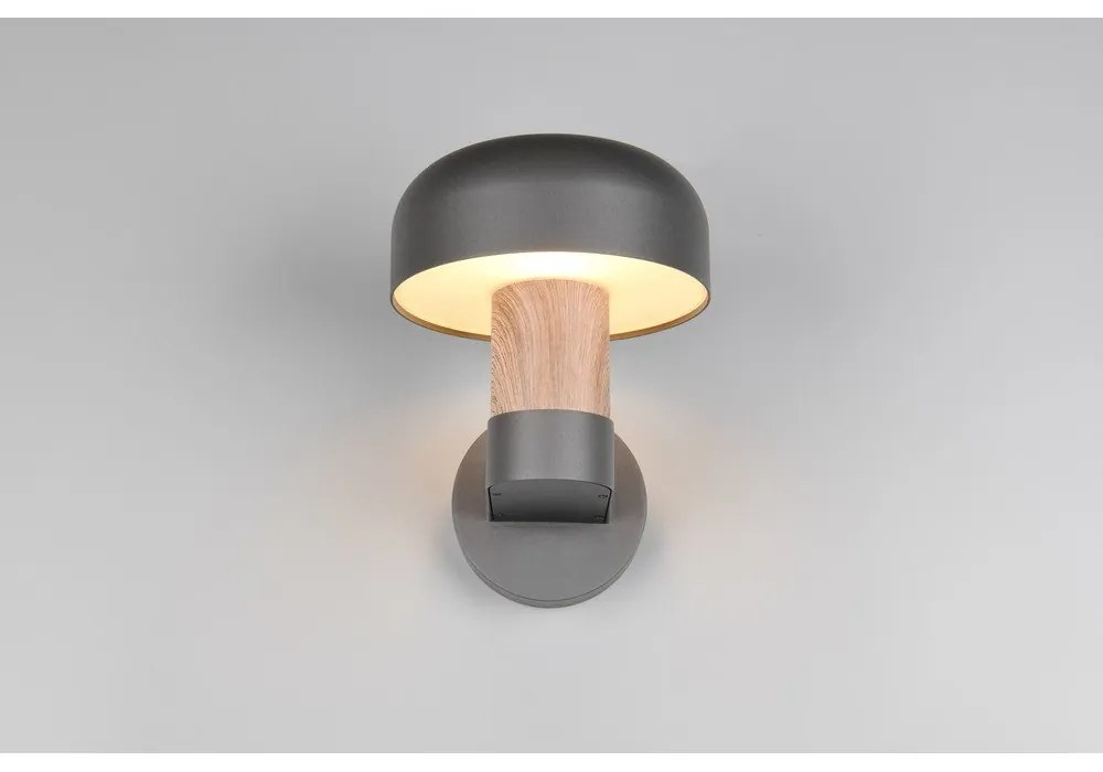 Illuminazione esterna da parete (altezza totale 24,5 cm) Fraser – Trio