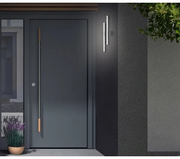 Telefunken - Applique LED da esterno 2xLED/4W/230V IP44 nero