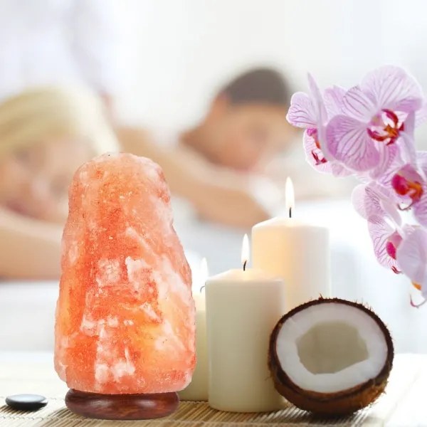 Lampada al sale SALLY 1xE14/25W/230V