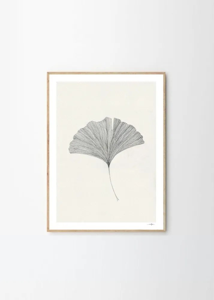 Poster 50x70 cm Ginkgo Leaf – Ana Frois – The Poster Club