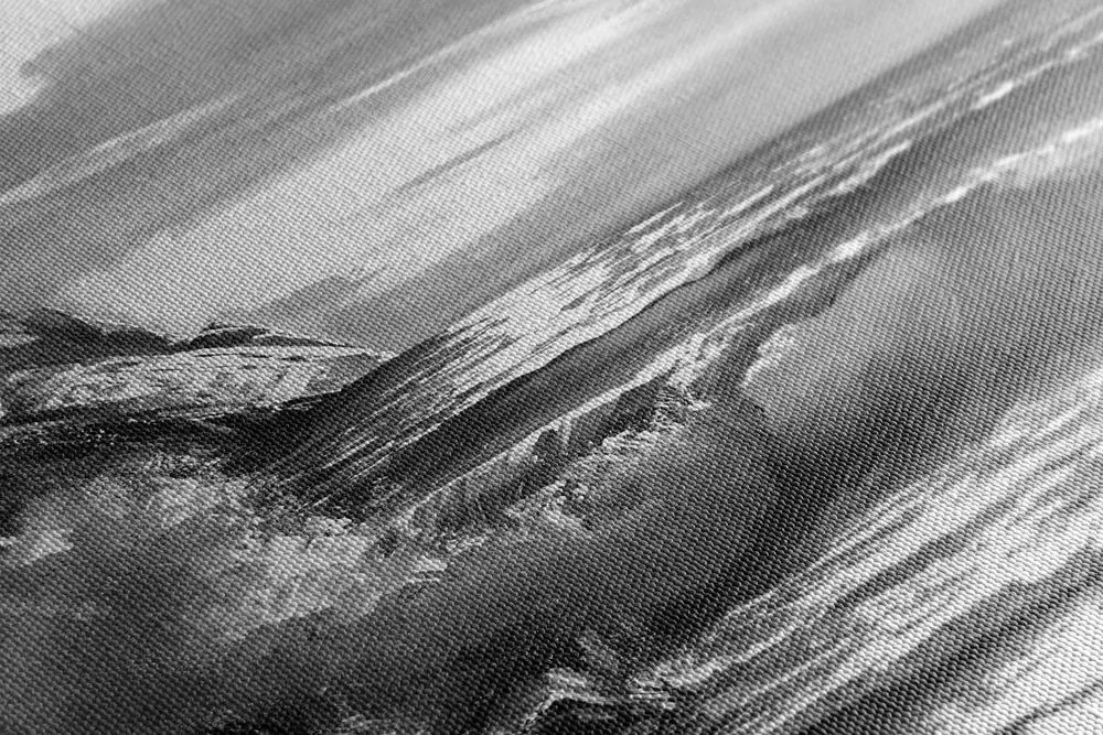 Quadro su tela – Onde marine sulla costa in bianco e nero