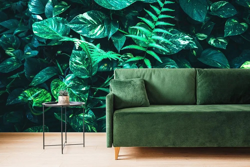Carta da parati – Foglie tropicali fresche