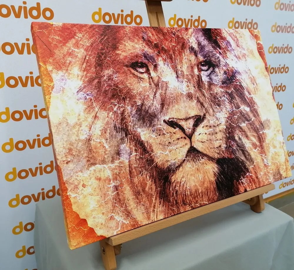 Quadro su tela – Volto del leone