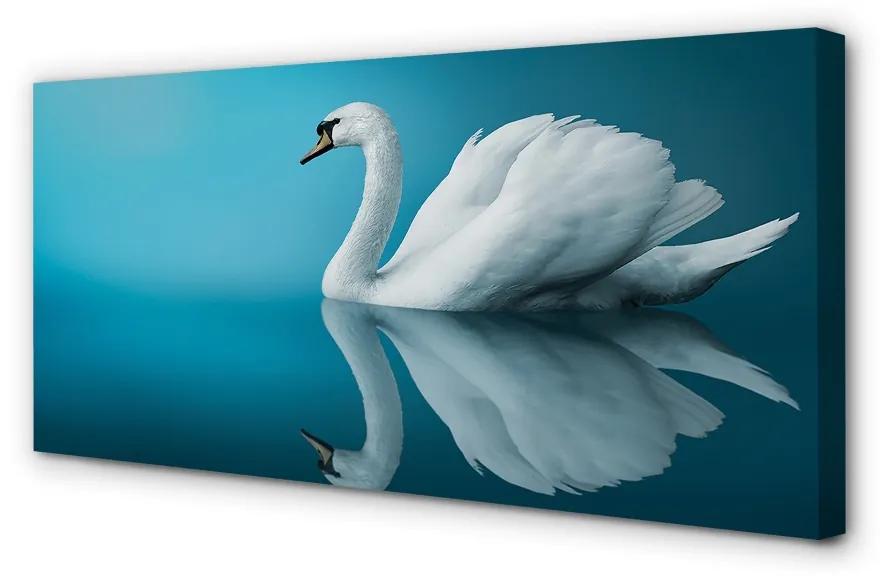 Stampa quadro su tela Cigno in acqua 100x50 cm