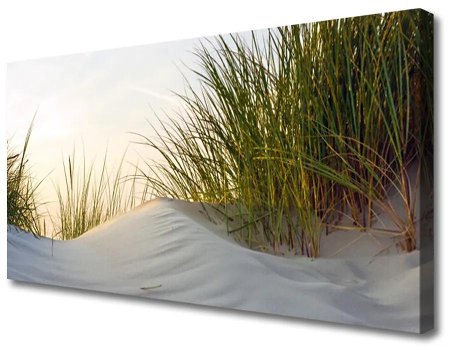Quadro su tela Sabbia, erba, paesaggio 100x50 cm