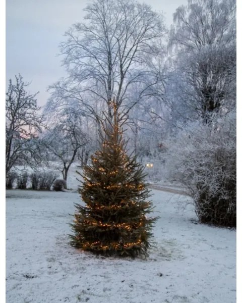 Eglo 410817 - Catena luminosa natalizia LED per esterni GOLDEN 1200xLED 29m IP44 bianco caldo