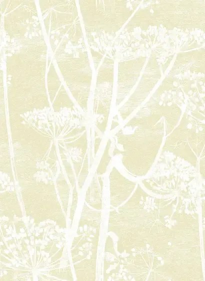 Cole & Son Carta da parati Cow Parsley - Straw on White