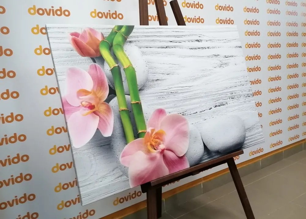 Quadro su tela – Composizione zen delicata