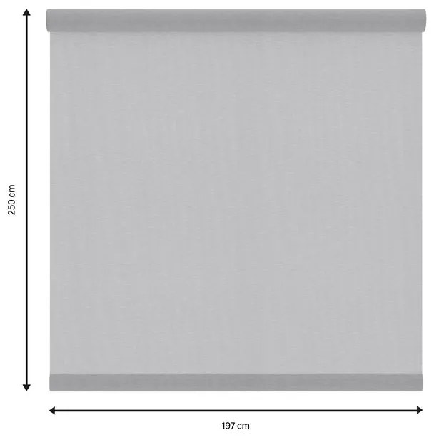 Tessuto per tende a rullo filtrante INSPIRE Canberra grigio / argento 197 x 250 cm