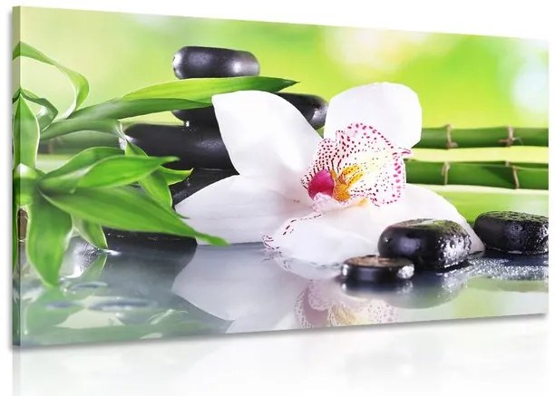 Quadro su tela – Orchidea giapponese