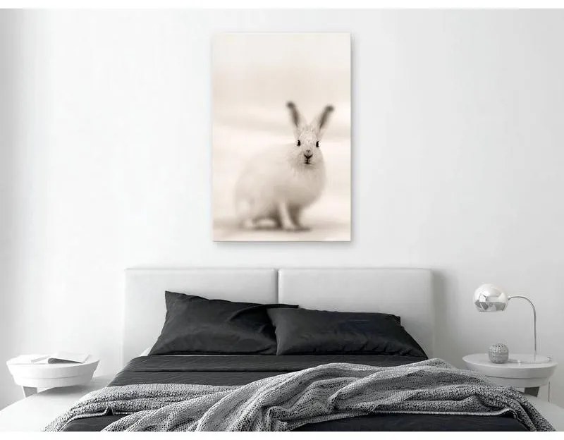 Quadro  Fearful Look (1 Part) Vertical  Larghezza x Altezza Home decor 40x60