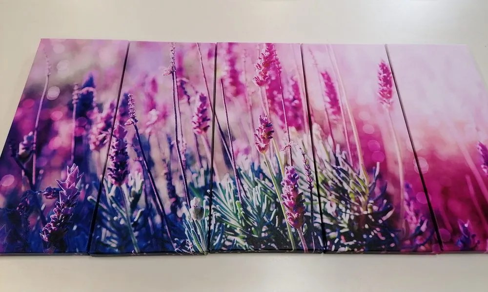 Quadri 5 pezzi – Fiori di lavanda magici