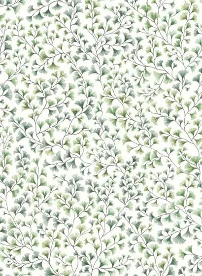 Cole & Son Carta da parati Maidenhair - Olive