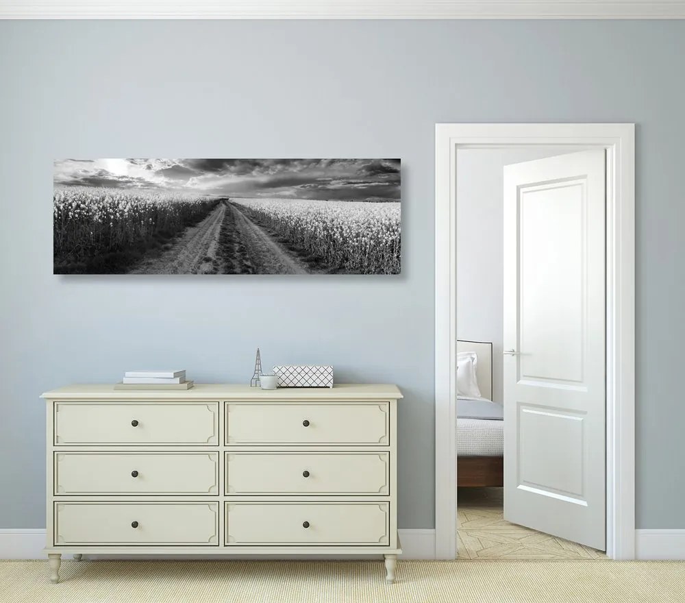 Quadro su tela – Tramonto sul campo in Slovacchia in bianco e nero