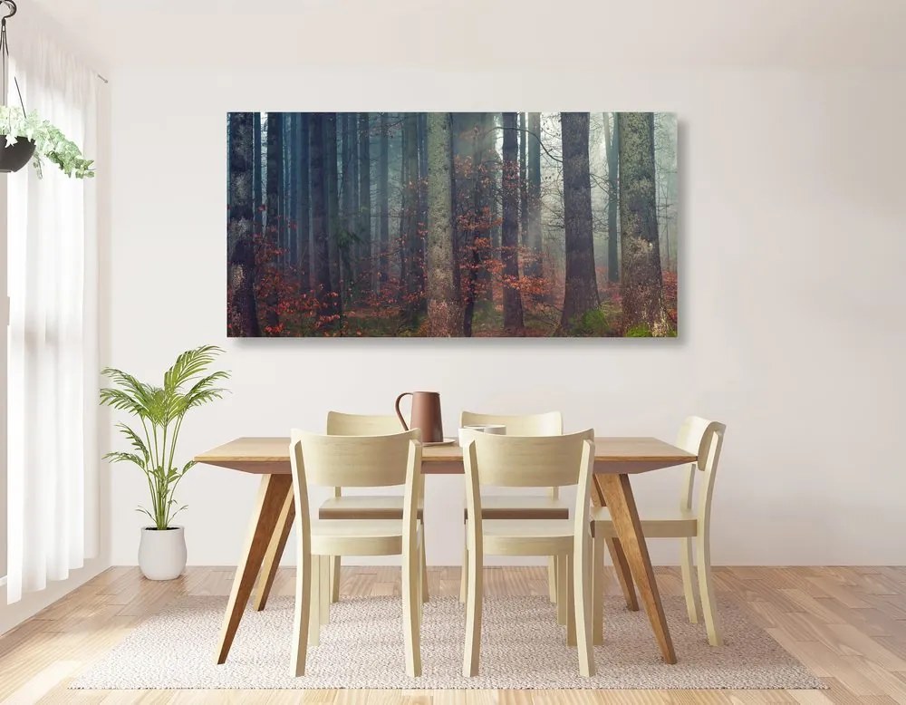 Quadro su tela – Mistero della foresta