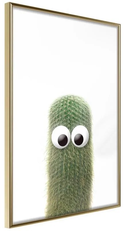 Poster  Funny Cactus IV  Cornice Quadri Cornice d'oro, Larghezza x Altezza Home decor 20x30