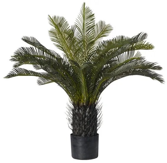 Pianta artificiale in vaso di plastica, cycas H 70 cm, Ø 17 cm