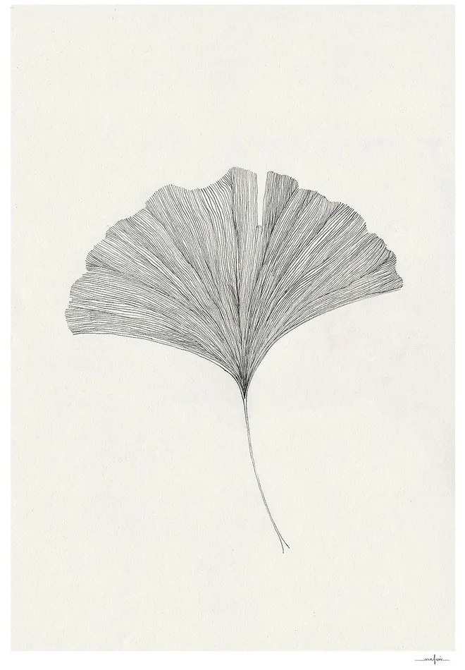Poster 50x70 cm Ginkgo Leaf – Ana Frois – The Poster Club