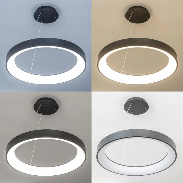 Brilagi - Lampadario LED dimmerabile a cavo FALCON II LED/99W/230V diam. 60 cm nero + telecomando