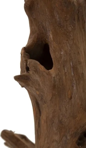 Scultura Akar In Teak Riciclato Cm 23X27X64 (Pezzi Unici - Non Rip. In Serie)