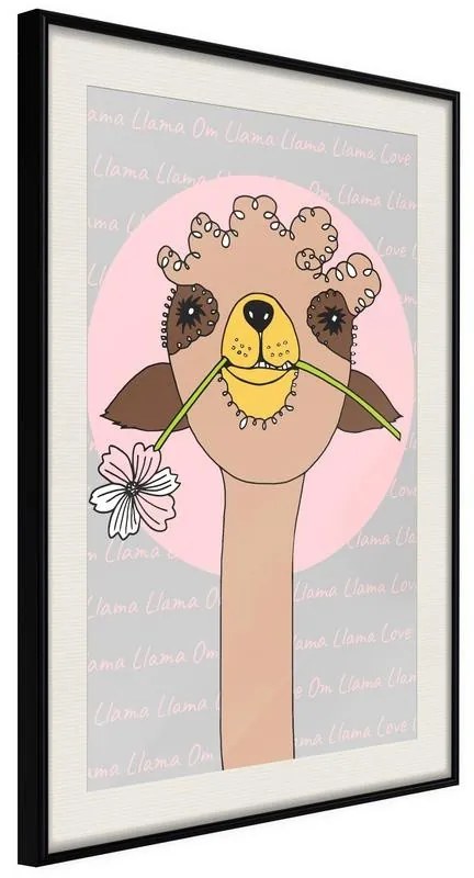 Poster  Cute Llama  Cornice Quadri Cornice nera con pass-partout, Larghezza x Altezza Home decor 30x45