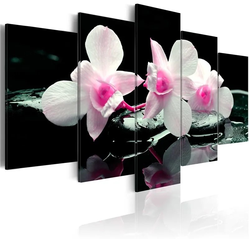 Quadro Riposo d'orchidea  Colore Nero, Dimensioni e Misure 100x50