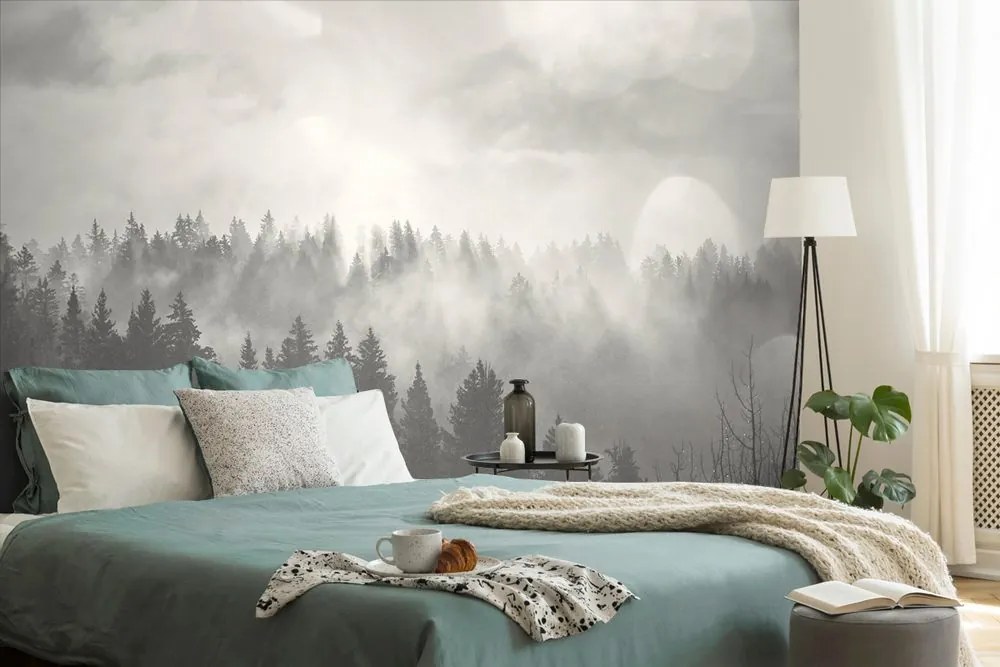 Carta da parati – Nebbia in bianco e nero sopra la foresta