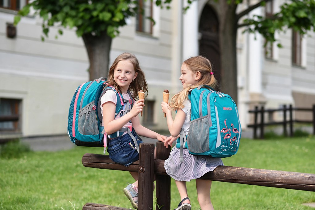 Zaino scuola BOLL SMART Artwork Collection 24 l Feathers - teal