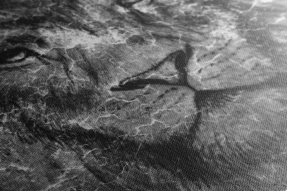 Stampa su tela – Volto del leone in bianco e nero