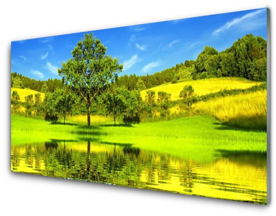 Quadro acrilico Natura dell'albero del prato 100x50 cm