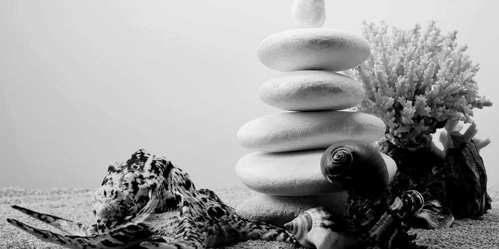 Stampa su tela – Pietre Zen con conchiglie in bianco e nero