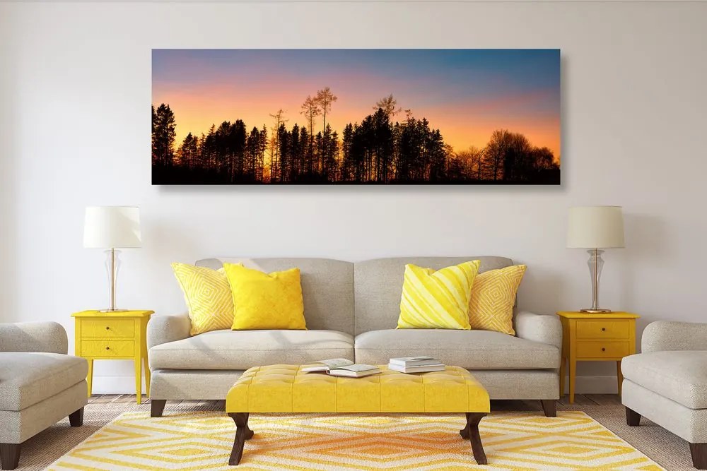 Quadro su tela – Foresta avvolta nell'oscurità