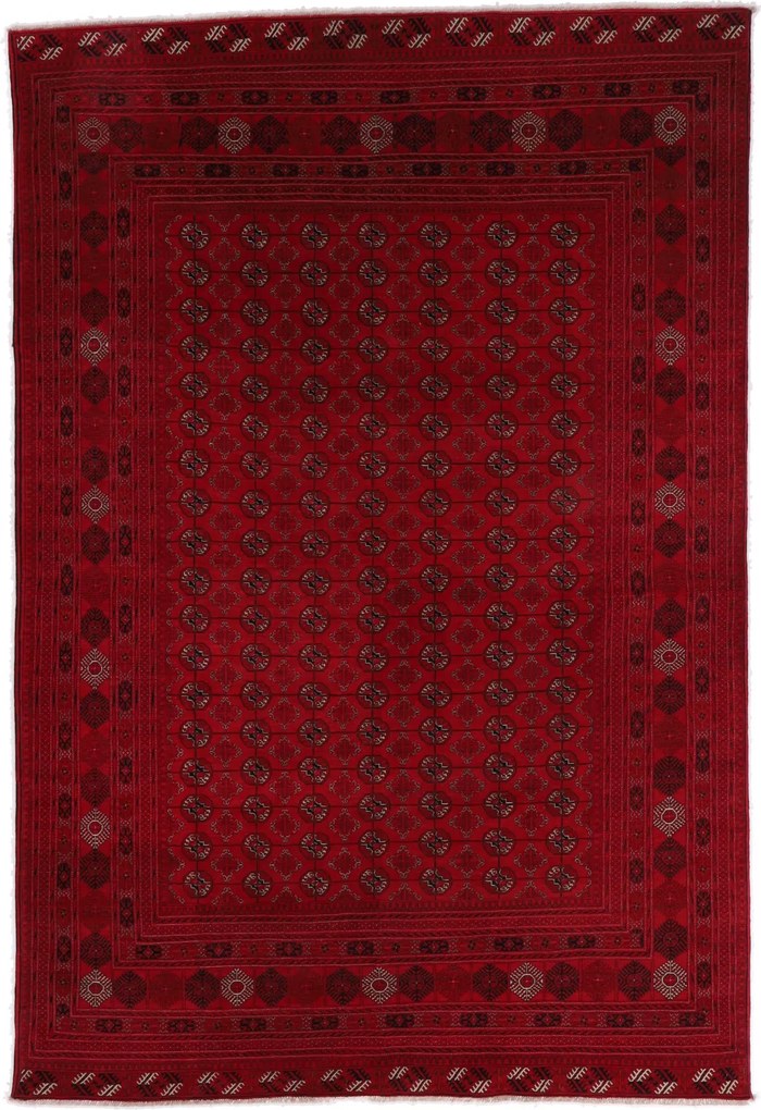 Afghan Tappeto 200x290 (Afghanistan) Annodato A Mano