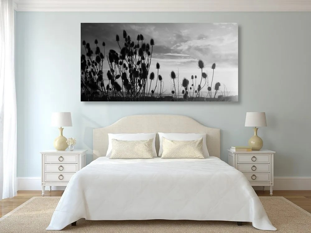 Quadro su tela – Steli d'erba nel campo in bianco e nero