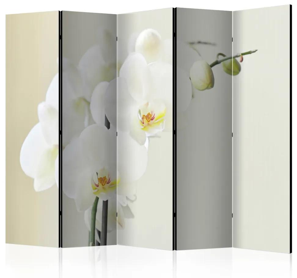 Paravento design Orchidea bianca II - Fiore bianco di orchidea su sfondo chiaro sfumato