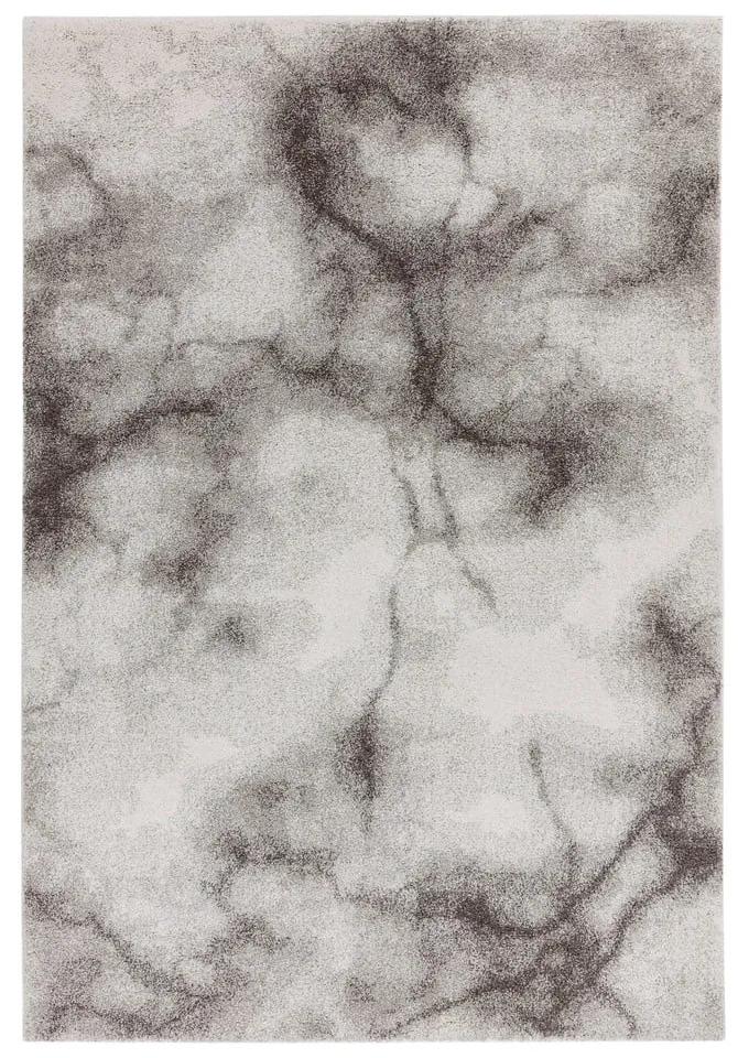 Tappeto grigio 160x230 cm Dream - Asiatic Carpets