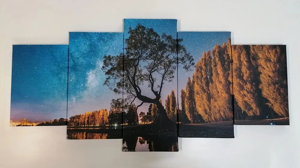 Quadri 5 pezzi – Albero sotto il cielo stellato