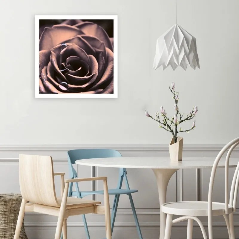 Quadro su tela, Pianta di fiori di rosa  Dimensioni 30x30