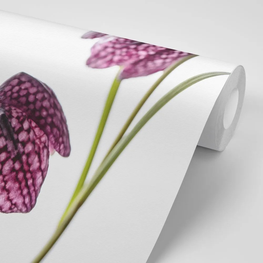 Carta da parati – Fiore a scacchiera