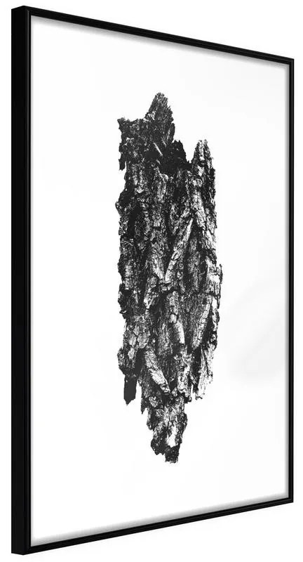 Poster  Texture of a Tree  Cornice Quadri Cornice nera, Larghezza x Altezza Home decor 20x30