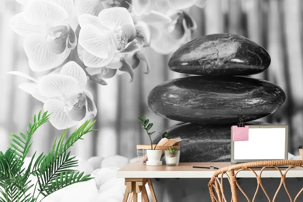Carta da parati – Giardino Zen giapponese in bianco e nero