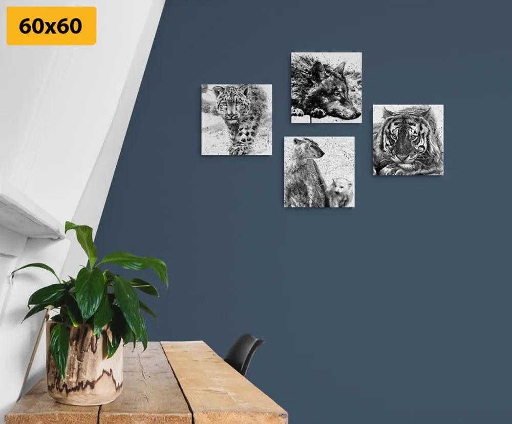 Set di quadri – Animali in versione acquerello in bianco e nero
