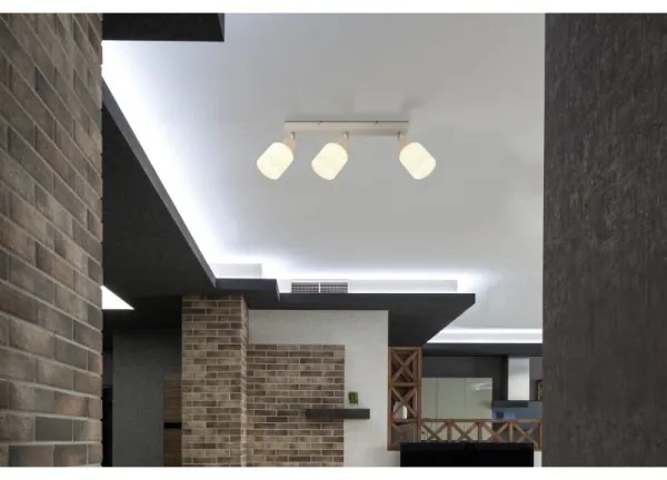 Globo 54114-3 - Faretto TRENT 3xE14/25W/230V