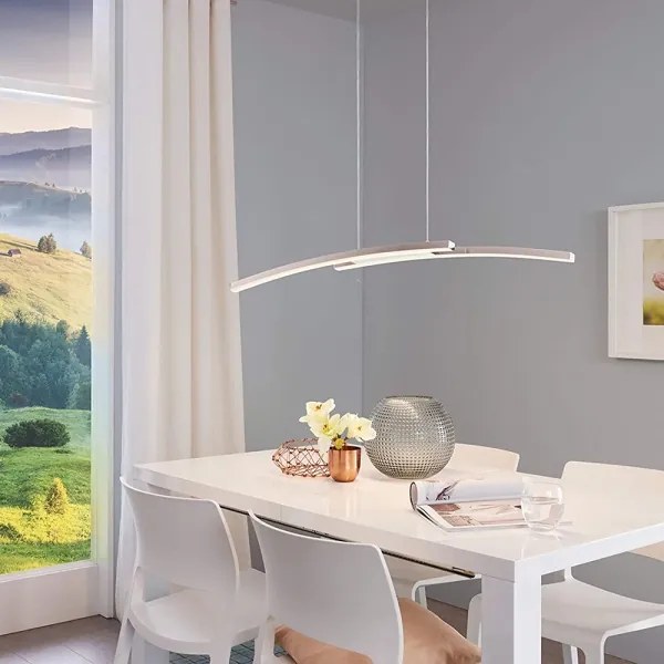 Eglo 97911 - Lampadario dimmerabile LED RGB su cavo FRAIOLI-C 2xLED/17W/230V