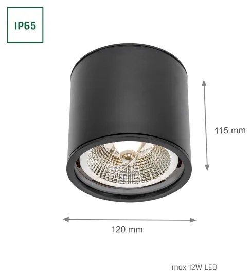 Luce Spot da bagno CHLOE AR111 1xGU10/12W/230V IP65 arrotondato nero