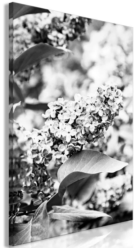 Quadro  Monochrome Lilac (1 Part) Vertical  Larghezza x Altezza Home decor 40x60