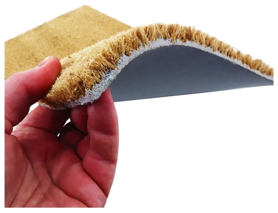 Zerbino in fibre di cocco 40x60 cm Probably At The Gym – Artsy Doormats