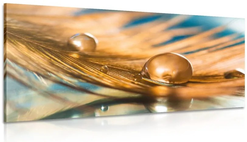 Quadro su tela – Goccia d'acqua su piuma dorata