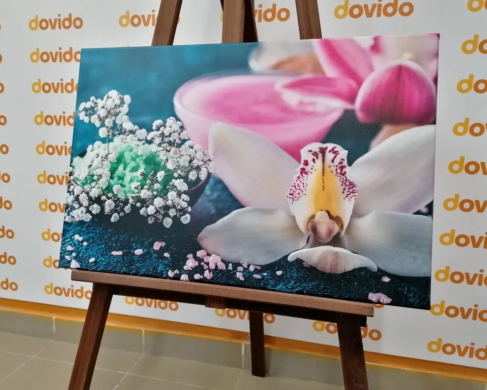 Stampa su tela – Splendida orchidea dettagliata
